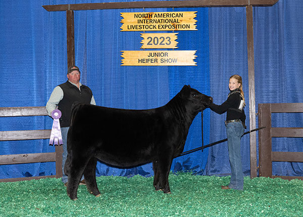 2023 Division Champion Heifer