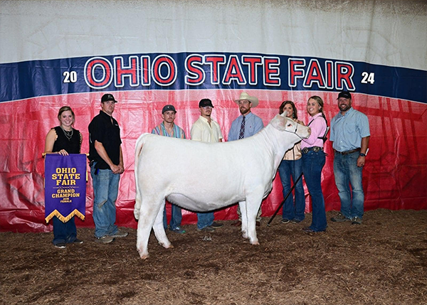 2024 Grand Champion AOB Heifer