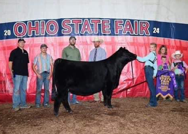 2024 Grand Champion Limousin