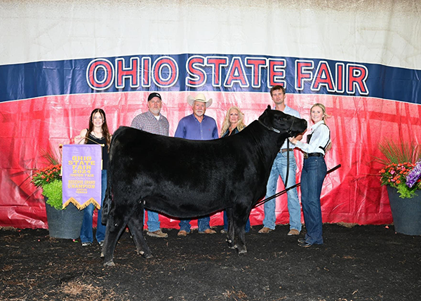 2024 Reserve Champion Angus Female