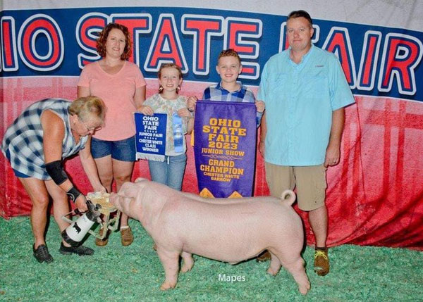 2023 Grand Champion Chester White Barrow