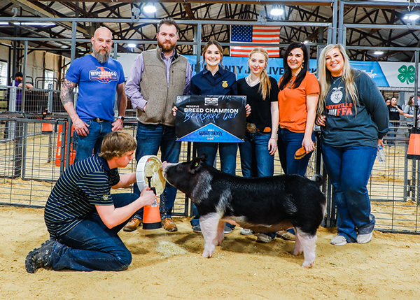 2024 Reserve Breed Champion Berkshire Gilt