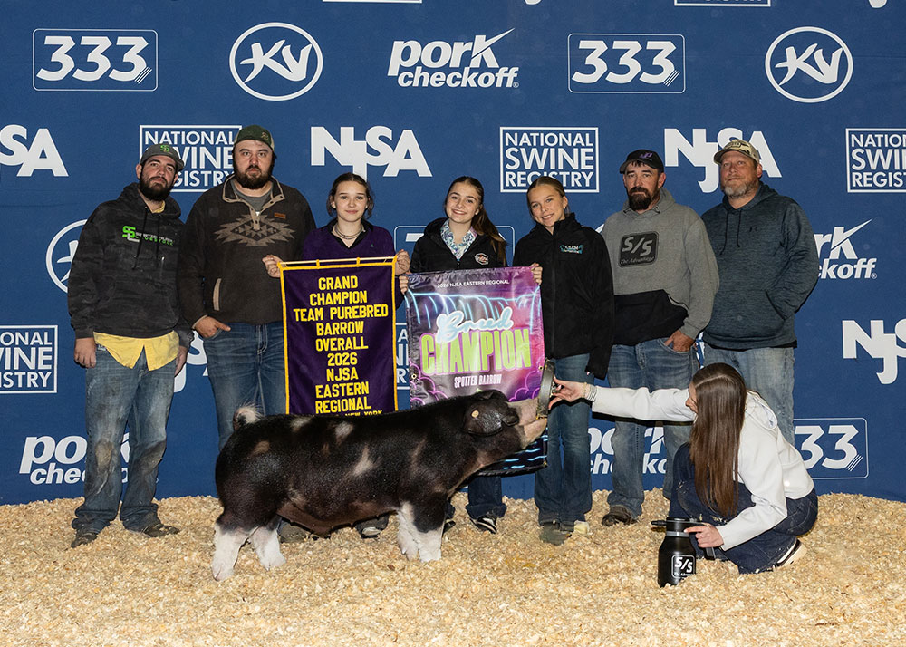 2026 NJSA Eastern Regional Grand Champion Team Purebred Barrow Overall