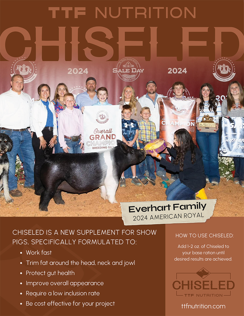 TTF Nutrition CHISELED